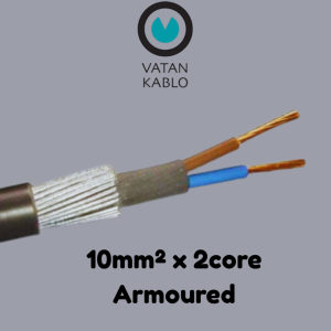 VATAN KABLO 10mm² x 2C (Armoured)