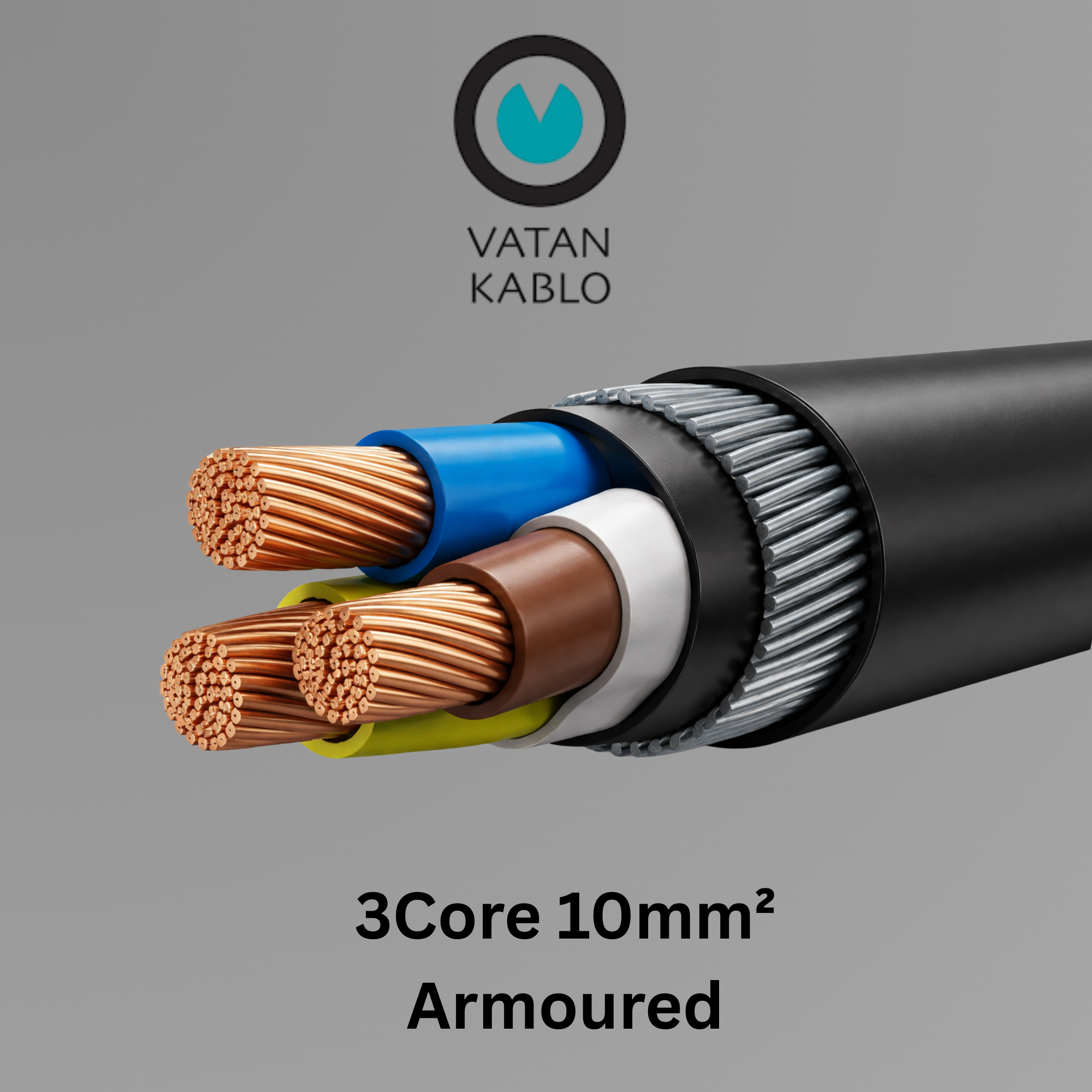 VATAN KABLO 10mm² X 3C (Armoured)